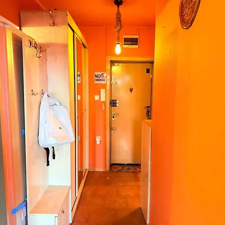 Sunny Cozy With King Bed, 2 Toilets, Fast Wifi, Walk To Center