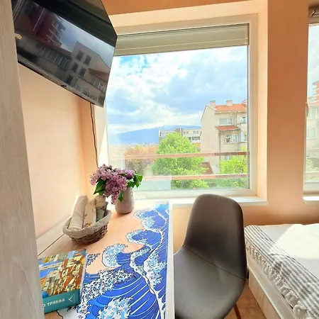 Sunny Cozy With King Bed, 2 Toilets, Fast Wifi, Walk To Center * Sofie