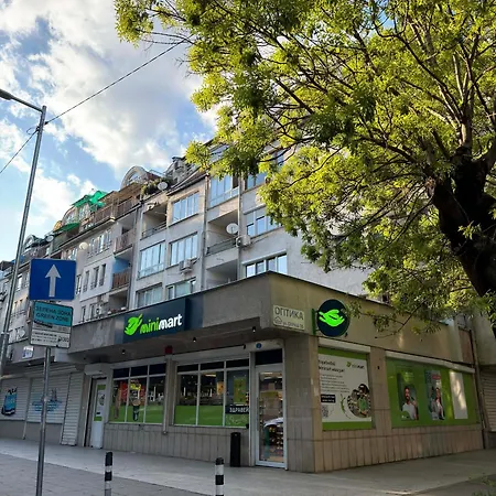 Sunny Cozy With King Bed, 2 Toilets, Fast Wifi, Walk To Center Apartmán *