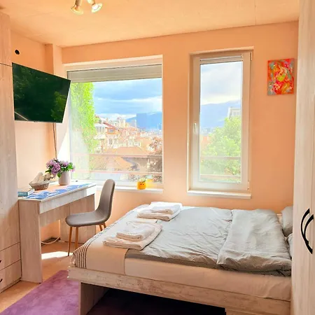 Sunny Cozy With King Bed, 2 Toilets, Fast Wifi, Walk To Center Apartmán