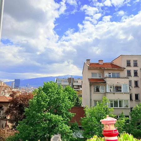 Sunny Cozy With King Bed, 2 Toilets, Fast Wifi, Walk To Center Διαμέρισμα *