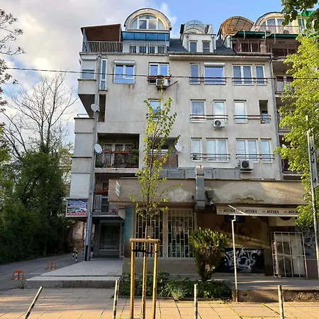 Sunny Cozy With King Bed, 2 Toilets, Fast Wifi, Walk To Center Apartmán Sofie