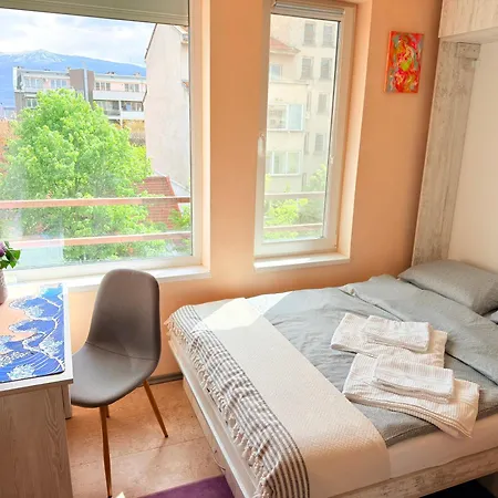 Sunny Cozy With King Bed, 2 Toilets, Fast Wifi, Walk To Center Apartmán